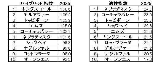 2025　京都新聞杯　HB指数